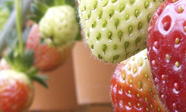 Centro Nacional de Educación a Distancia - Centro Nacional de Educación a Distancia